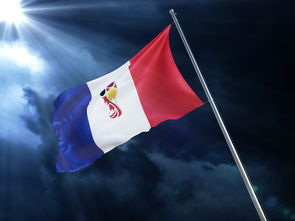 排球赛场焦点！俄罗斯队对阵中国队，强强对话引爆全球球迷关注